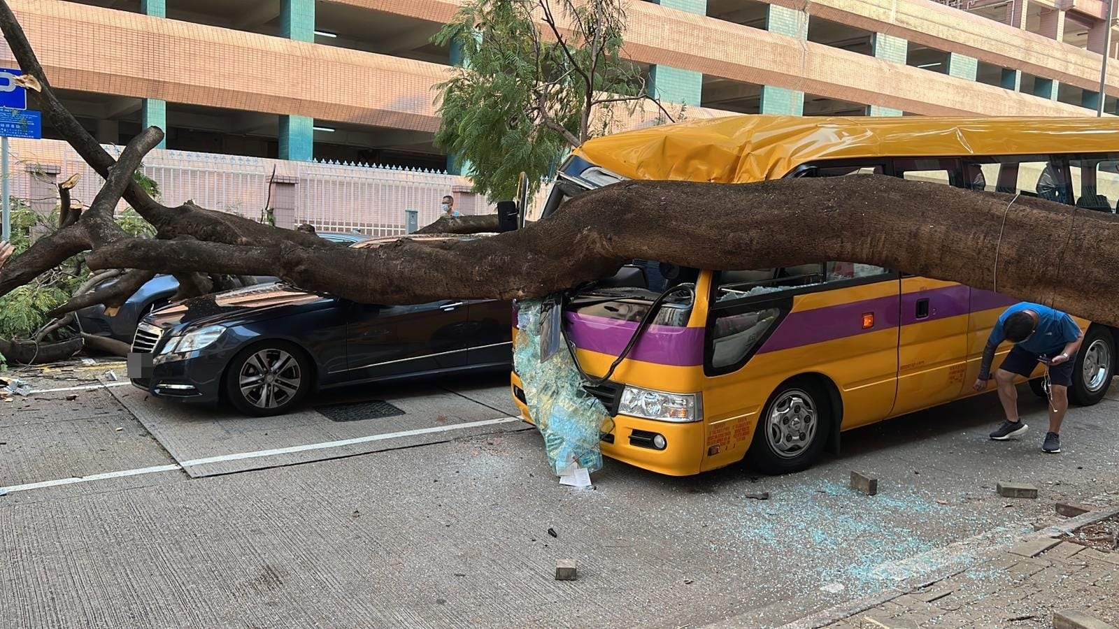 大樹壓毀4輛汽車。（fb「車cam L（香港群組）」）