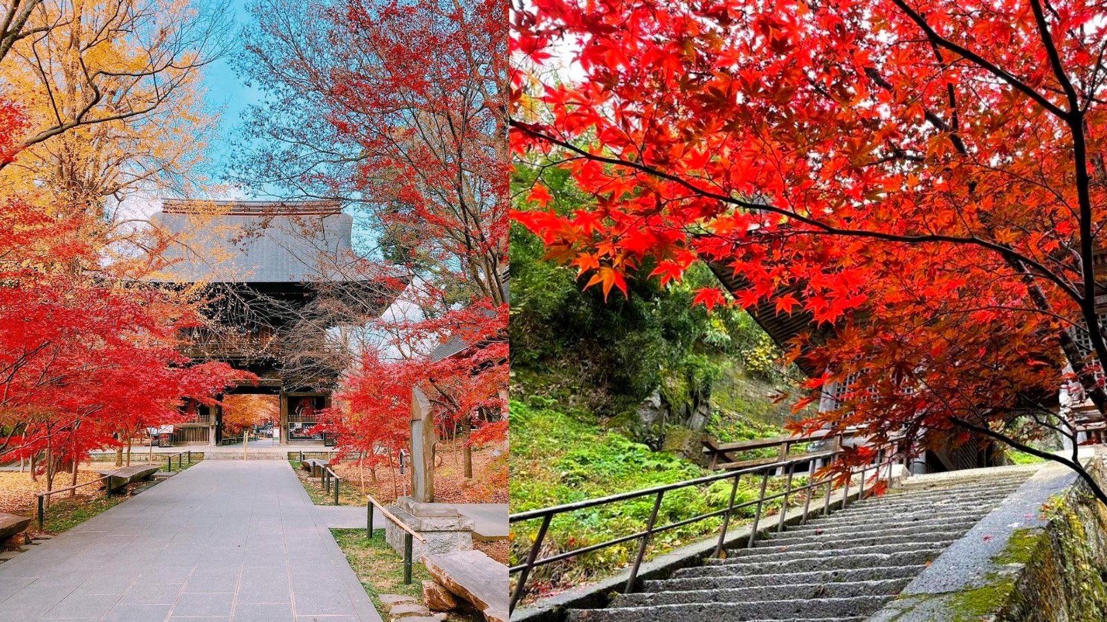 日本紅葉22 關東關西北陸九州楓葉變色日期預測賞楓景點推薦
