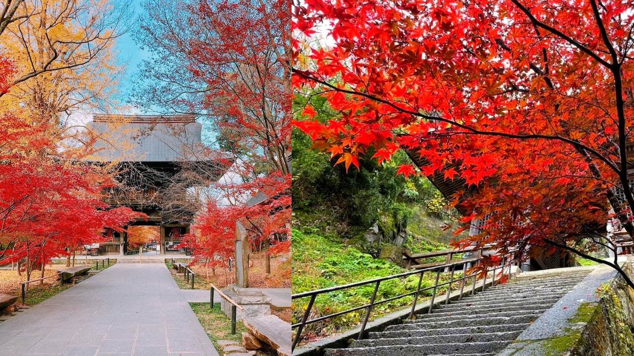 日本紅葉22 關東關西北陸九州楓葉變色日期預測賞楓景點推薦 日本紅葉22 關東關西北陸九州楓葉變色日期預測賞楓景點推薦
