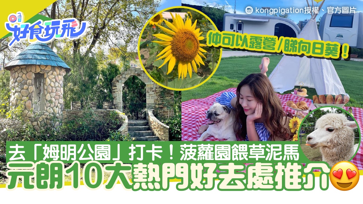 元朗好去處8 必去推介 姆明公園打卡 農莊向日葵花海 露營觀星