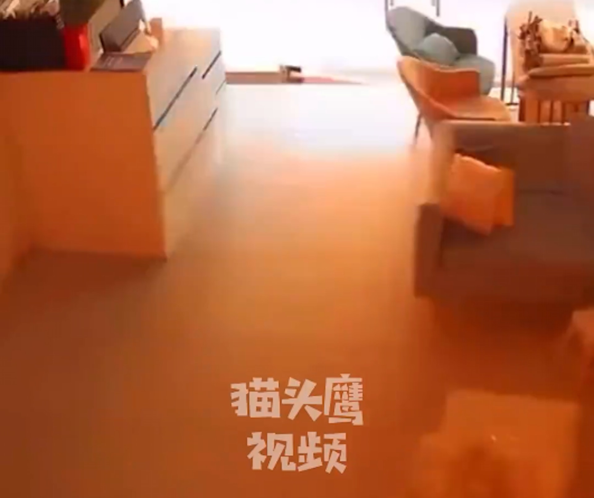 江蘇淮安一間燒烤店發生爆炸。(影片截圖) 江蘇淮安一間燒烤店發生爆炸。(影片截圖)