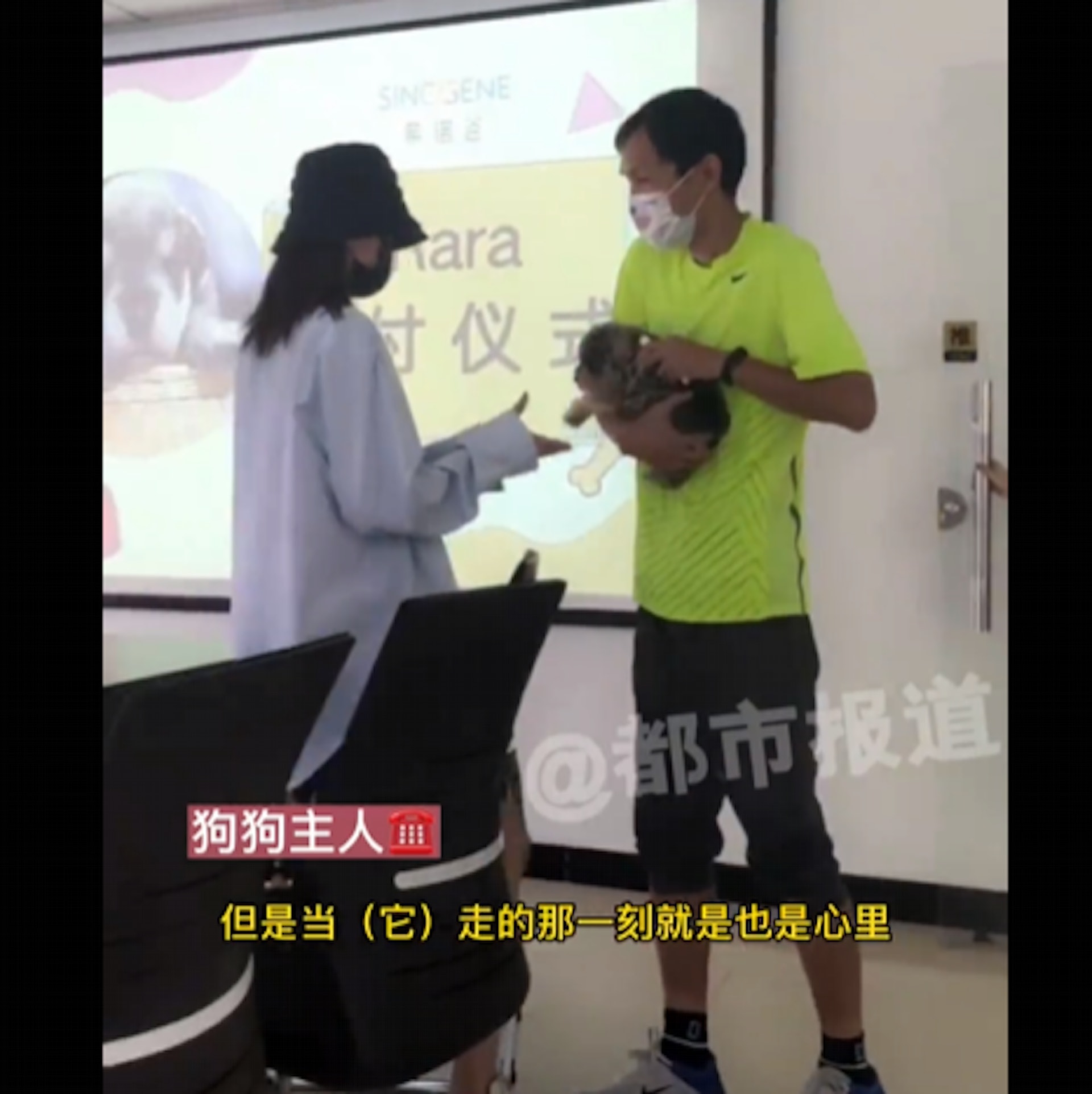 女主人看到眼前出現一隻與Rara一模一樣的狗狗時,馬上衝上前將狗狗抱入懷中,不斷親吻及碰頭,表現相當肉緊,場面溫馨感人。(影片截圖) 女主人看到眼前出現一隻與Rara一模一樣的狗狗時,馬上衝上前將狗狗抱入懷中,不斷親吻及碰頭,表現相當肉緊,場面溫馨感人。(影片截圖)
