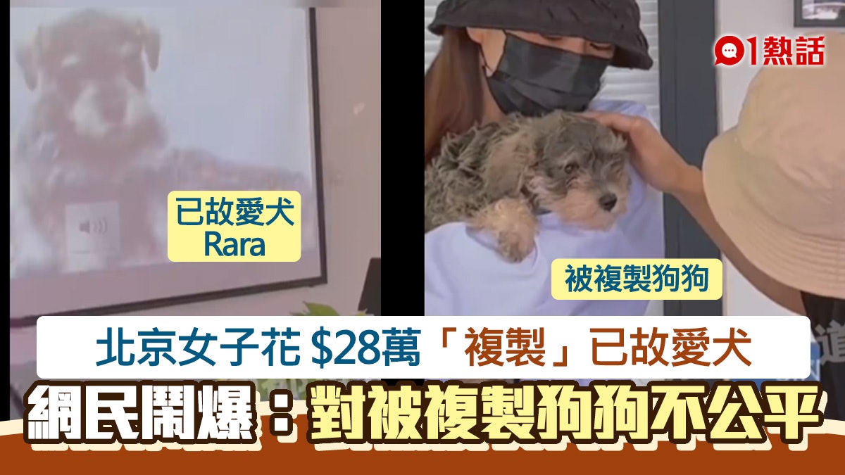 複製狗!內地女花$28萬複製已故愛犬 成功人間重逢卻遭網民鬧爆 複製狗!內地女花$28萬複製已故愛犬 成功人間重逢卻遭網民鬧爆