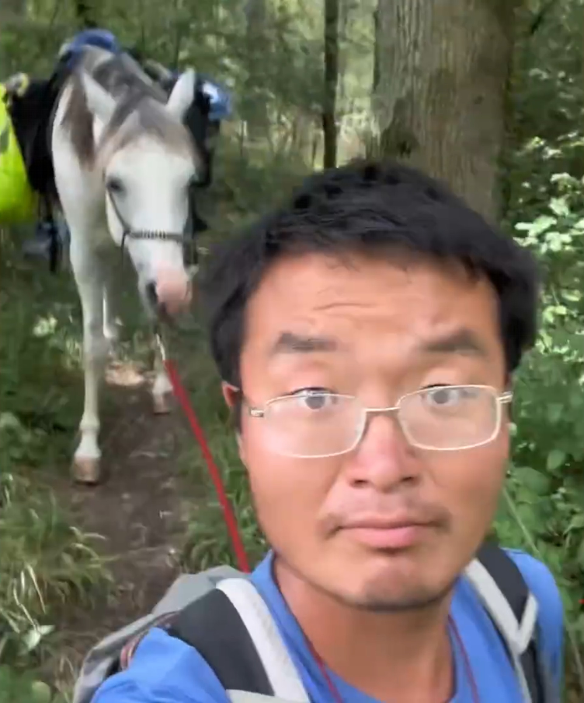 32歲的山東男子徐智顯牽著自己心愛的小白馬,從西班牙出發開始一路東行,目的地為中國的東海岸。(星視頻) 32歲的山東男子徐智顯牽著自己心愛的小白馬,從西班牙出發開始一路東行,目的地為中國的東海岸。(星視頻)