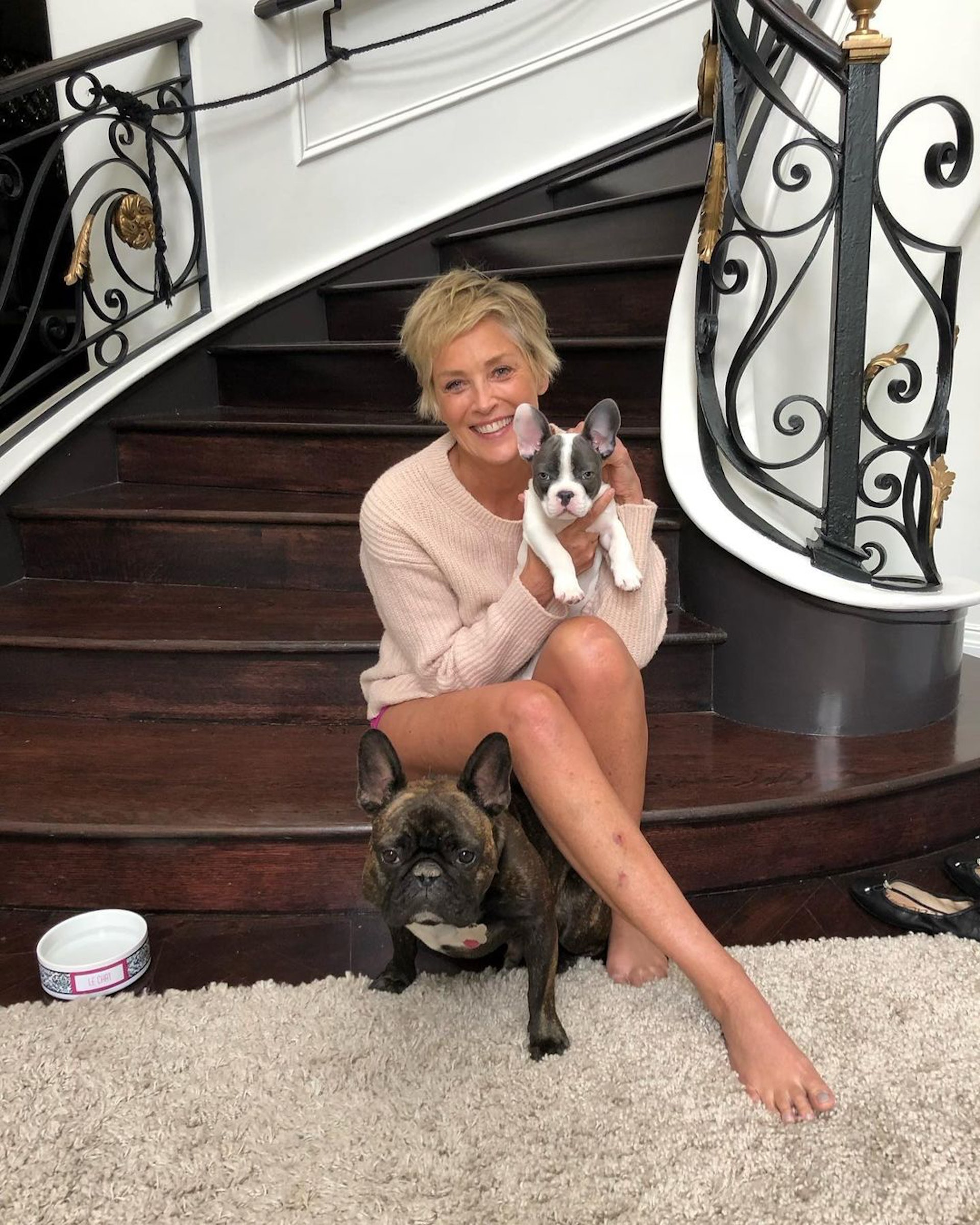 莎朗史東一生經歷過不少難關,憑著勇氣一一克服。(IG@sharonstone) 莎朗史東一生經歷過不少難關,憑著勇氣一一克服。(IG@sharonstone)