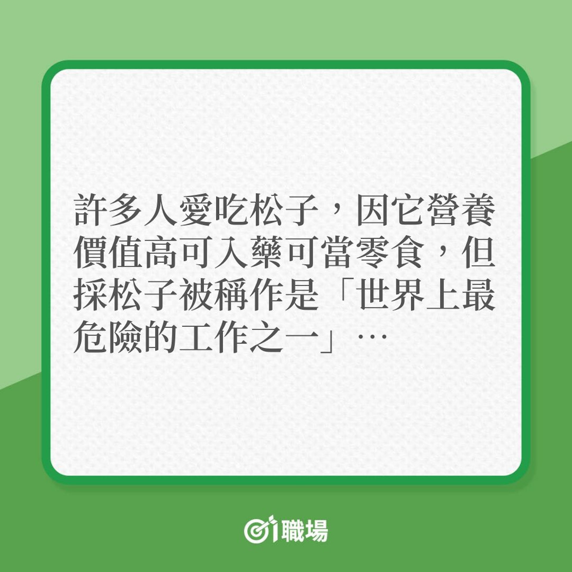 另類行業|採摘松子,竟是高危職業!(01製圖) 另類行業|採摘松子,竟是高危職業!(01製圖)