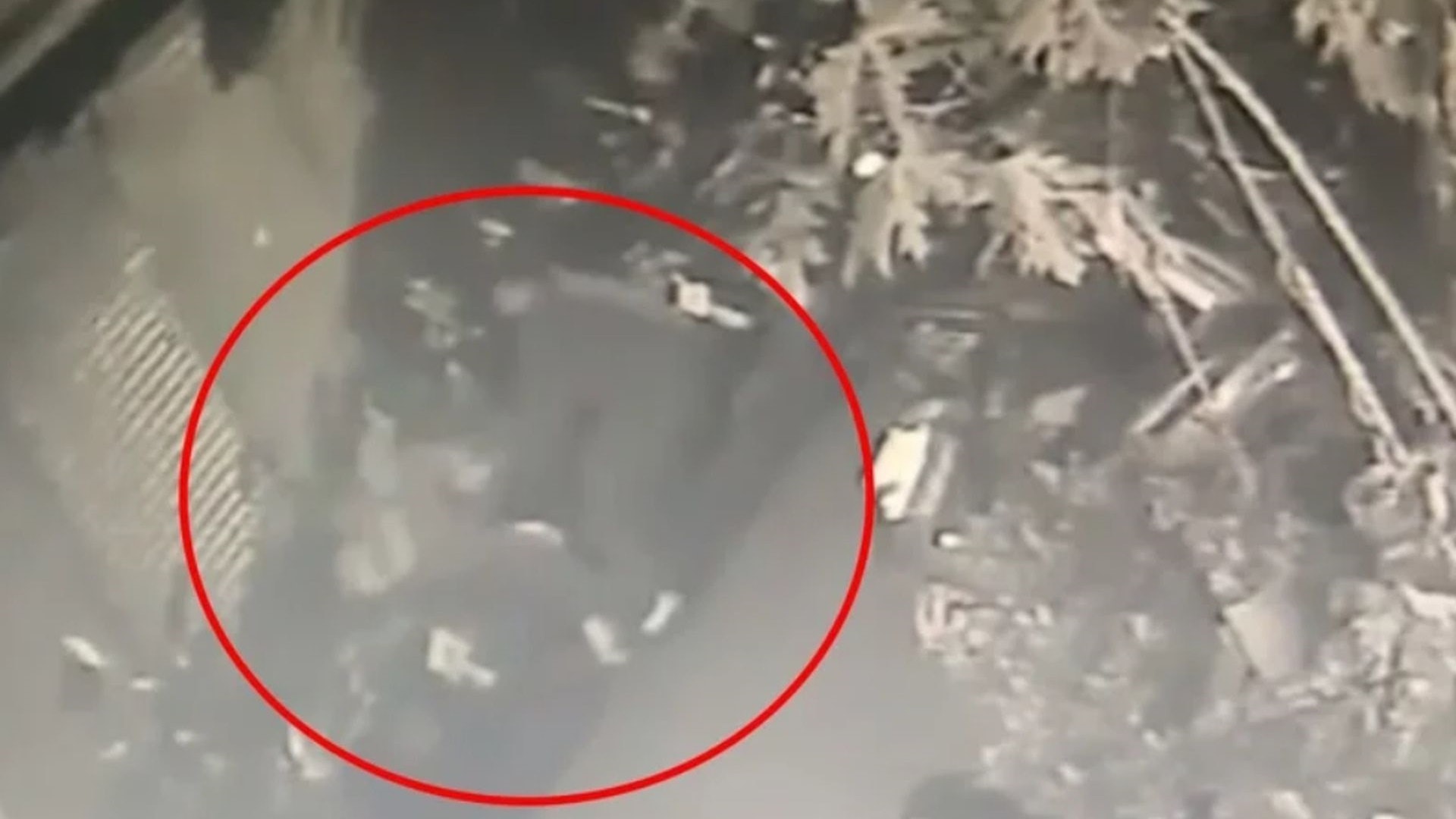 離譜!台灣警察「點錯相」將無辜男子打至滿身傷 臉部需縫多針 離譜!台灣警察「點錯相」將無辜男子打至滿身傷 臉部需縫多針