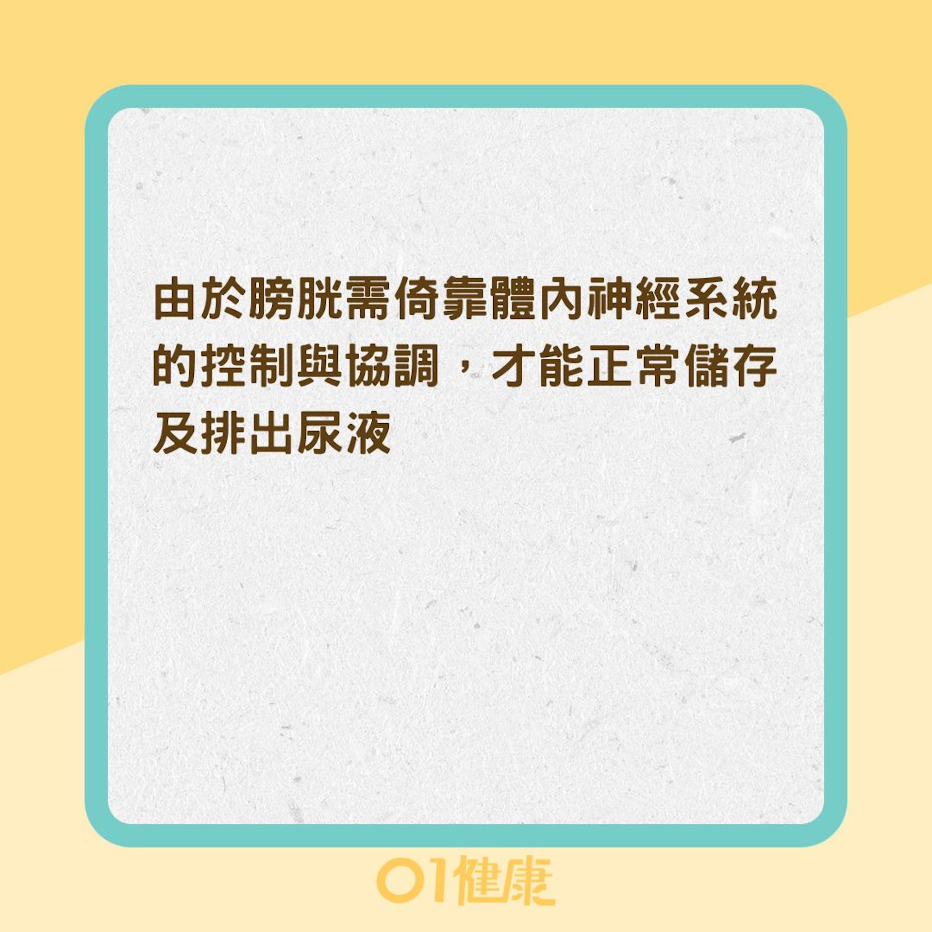 什麼是神經性膀胱？（01製圖）