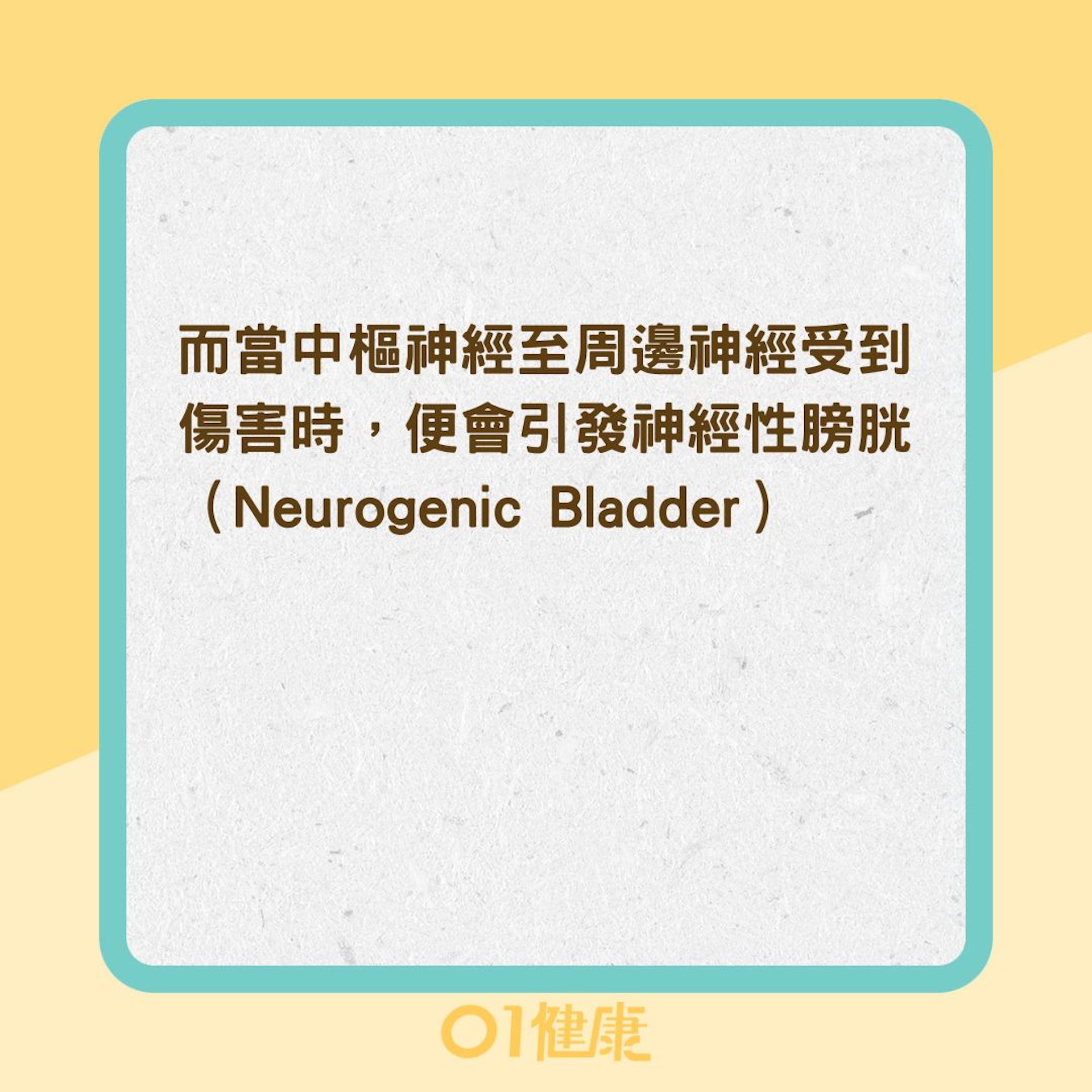 什麼是神經性膀胱?(01製圖) 什麼是神經性膀胱?(01製圖)