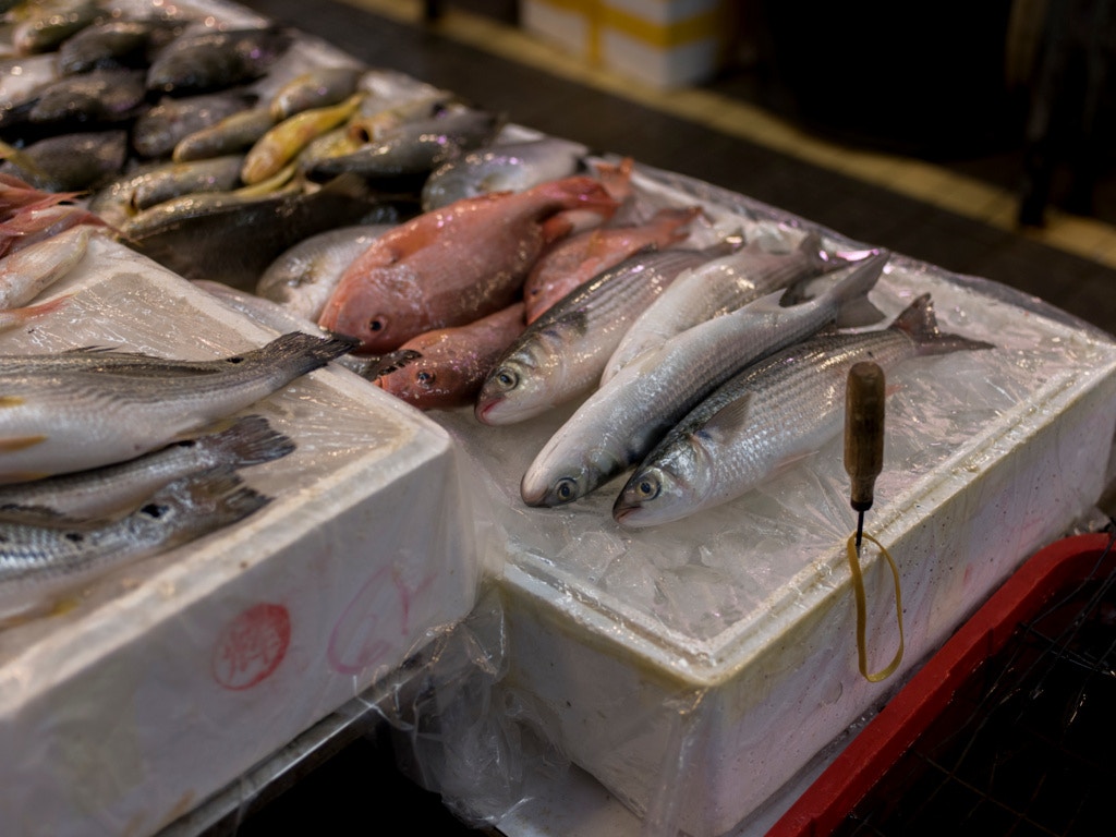 輸入外勞|報道指僱主聘售貨員實做魚檔工人 勞工處:負責賣海鮮