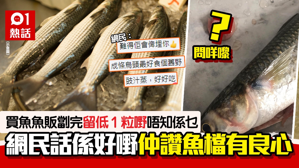 長知識 烏頭魚 有粒嘢 網民熱心解答 好食大讚魚販有良心