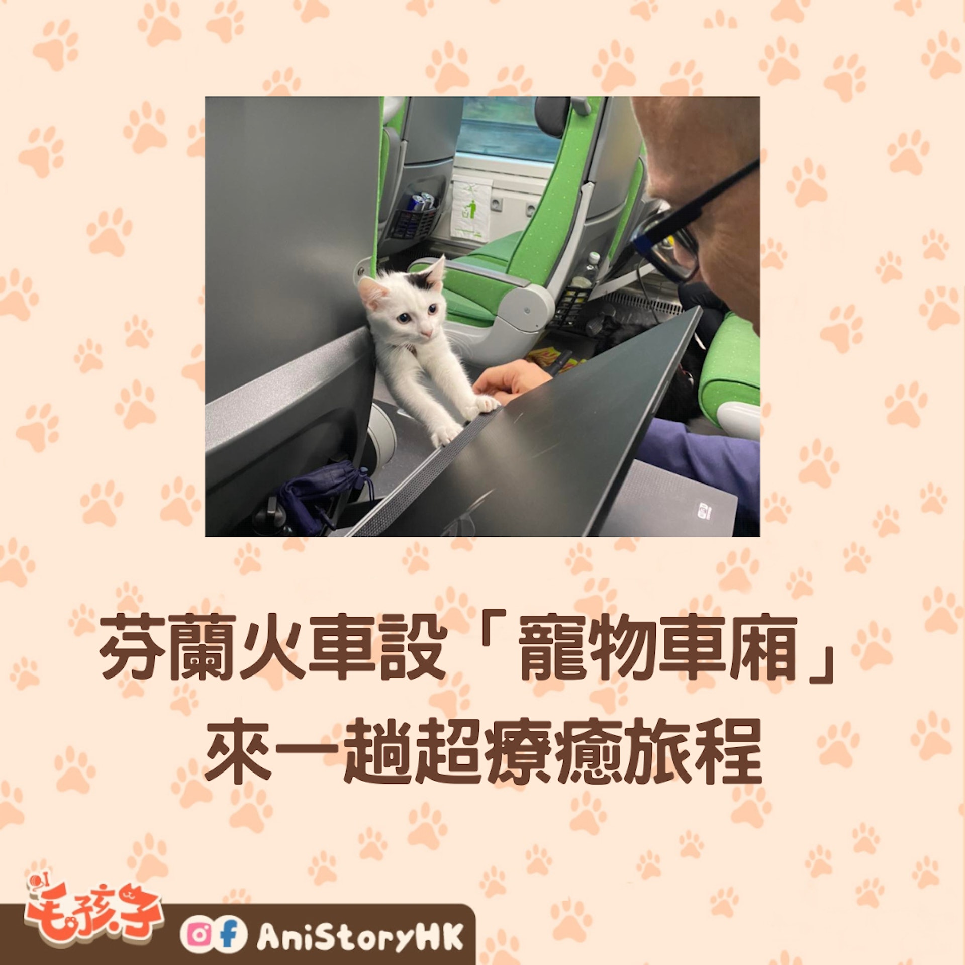芬蘭火車設「寵物車廂」可與毛孩共乘,超療癒旅程網民喊:羨慕。(facebook@Mustikka 藍莓福春) 芬蘭火車設「寵物車廂」可與毛孩共乘,超療癒旅程網民喊:羨慕。(facebook@Mustikka 藍莓福春)