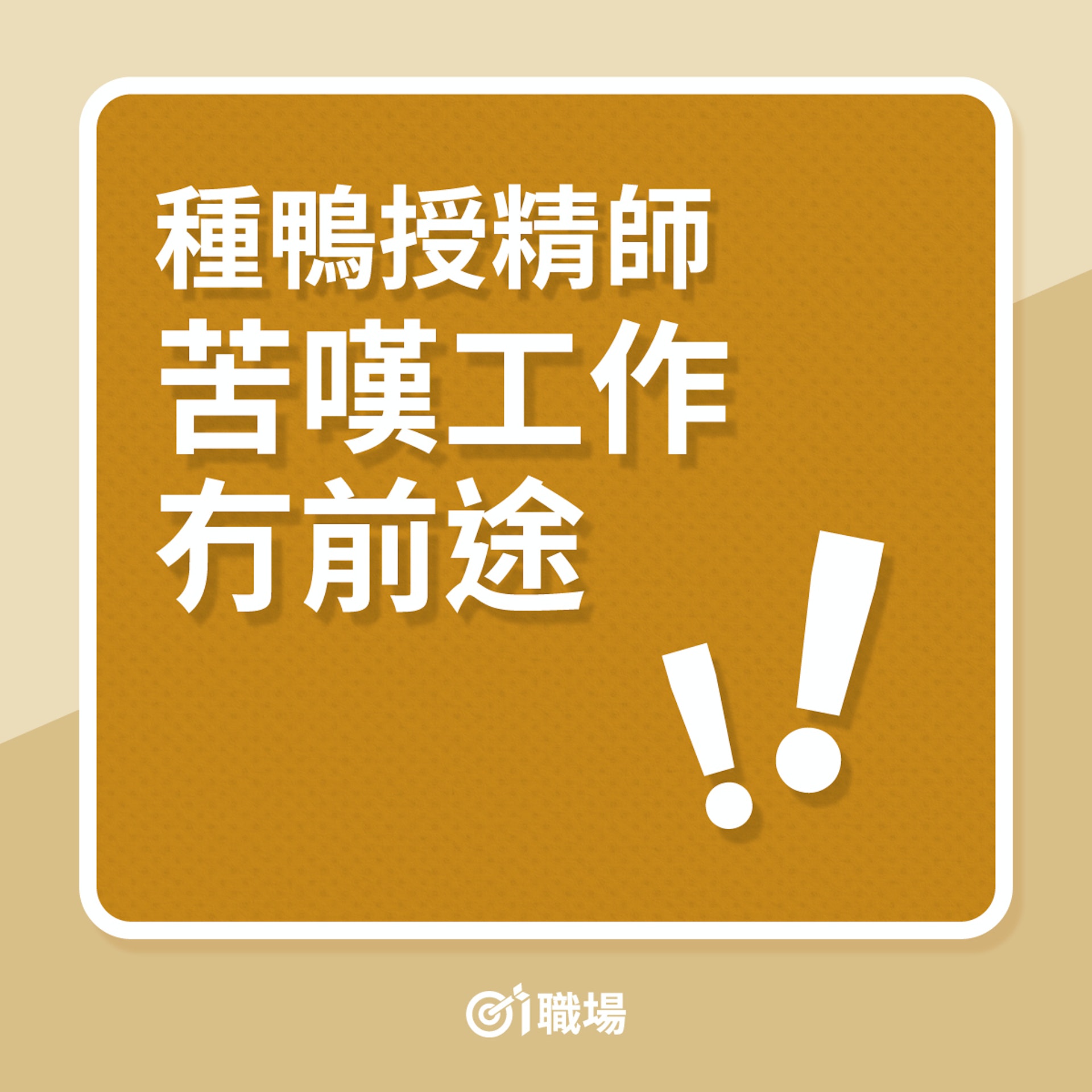 另類行業|種鴨授精師苦嘆工作冇前途!(01製圖) 另類行業|種鴨授精師苦嘆工作冇前途!(01製圖)