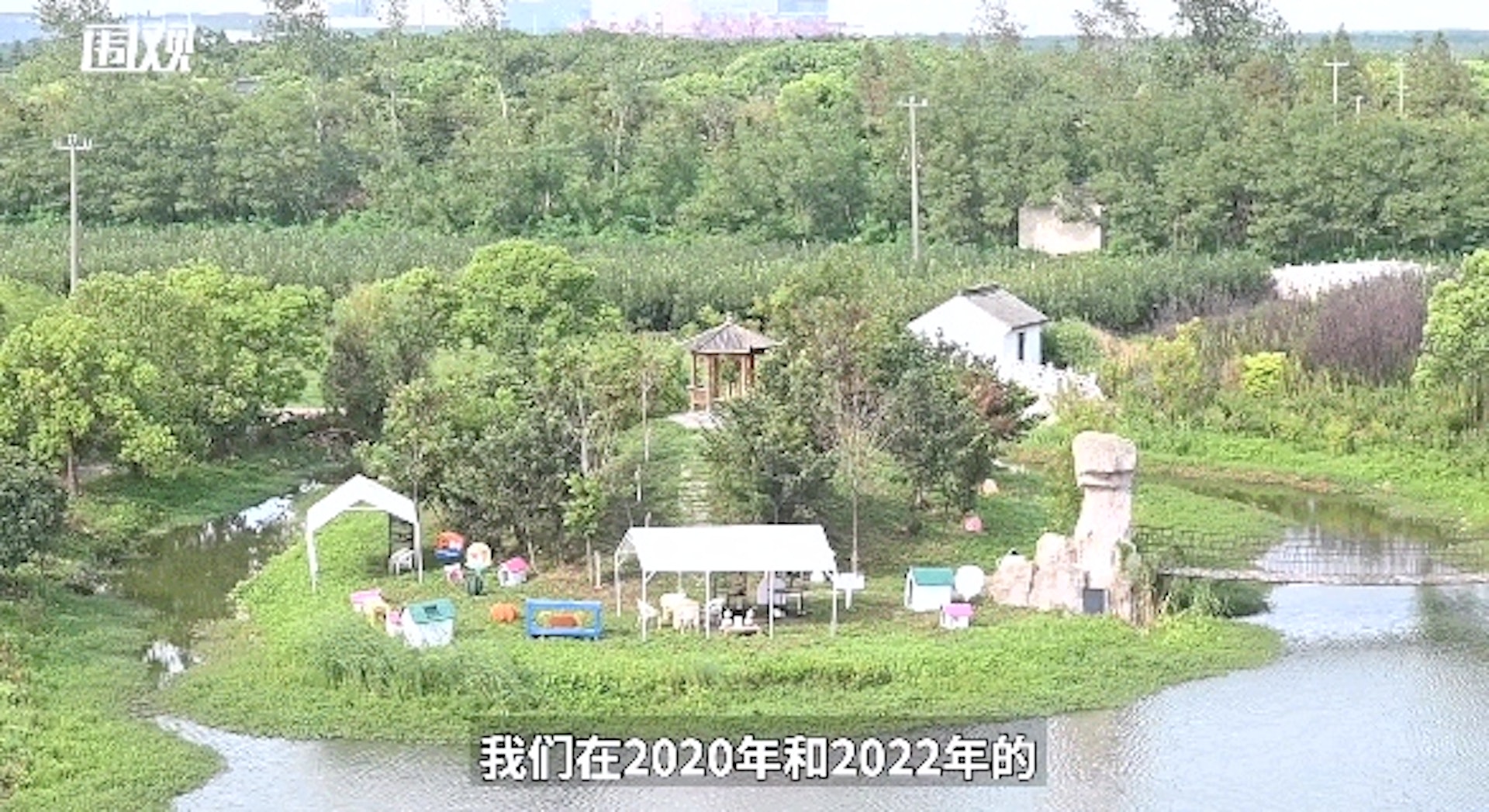 上海首個城市流浪貓基地建成,還可到貓島領養!(貓來了提供) 上海首個城市流浪貓基地建成,還可到貓島領養!(貓來了提供)