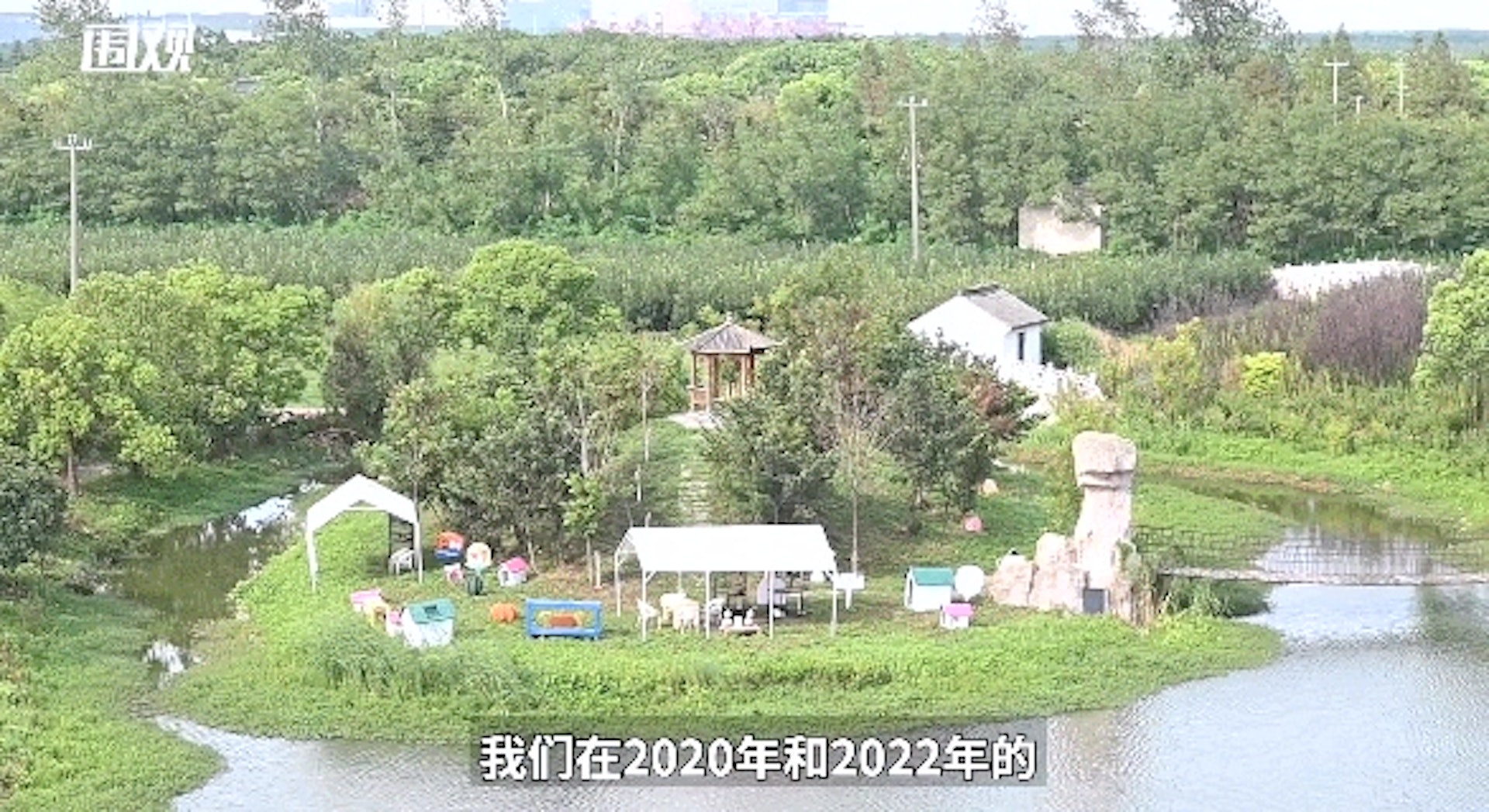 上海首個城市流浪貓基地建成，還可到貓島領養！（貓來了提供）