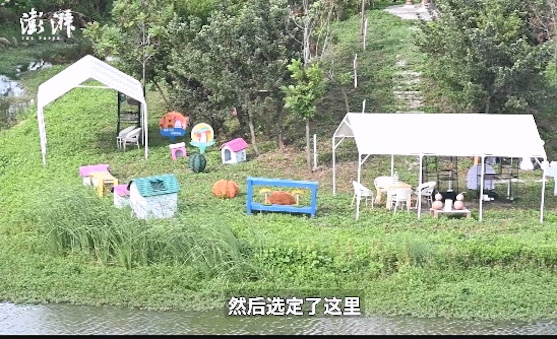 上海首個城市流浪貓基地建成,還可到貓島領養!(貓來了提供) 上海首個城市流浪貓基地建成,還可到貓島領養!(貓來了提供)