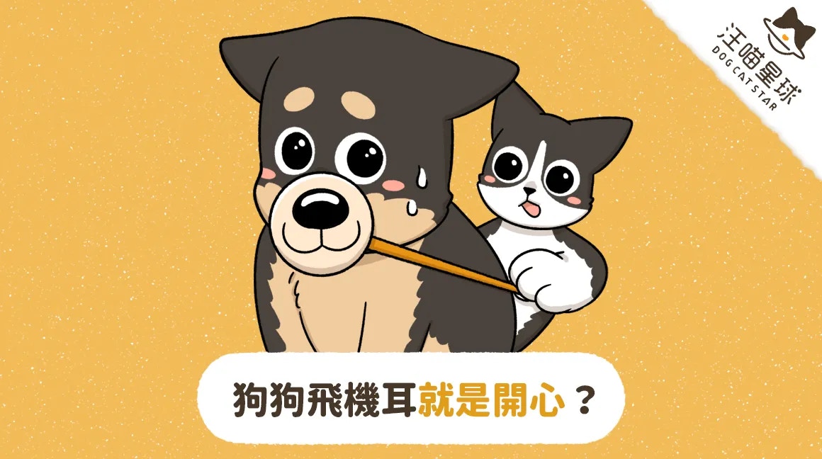 狗狗飛機耳的各種意思（汪喵星球授權使用）