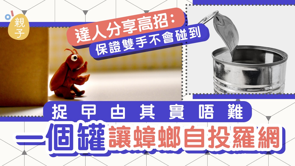 曱甴|一個罐怎讓蟑螂自投羅網?網民分享高招 保證雙手不會碰到 曱甴|一個罐怎讓蟑螂自投羅網?網民分享高招 保證雙手不會碰到
