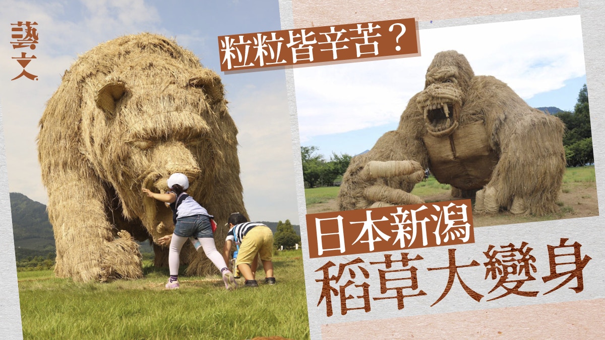 日本自由行｜新潟稻草藝術節2022　大學生與農家合作保留傳統技術