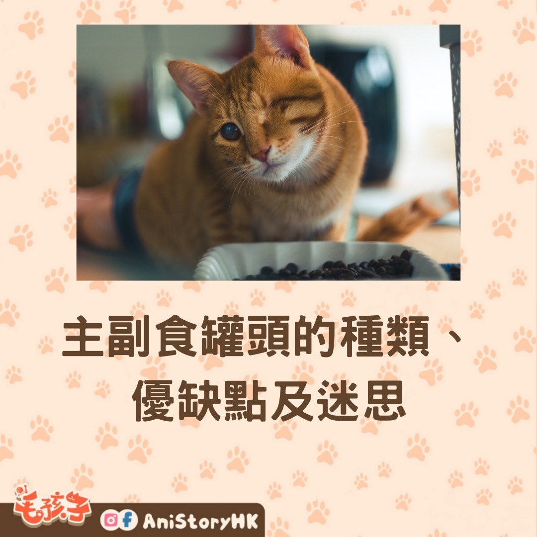 主副食罐頭的種類、 優缺點及迷思（01製圖,圖: Petrebels/unsplash）