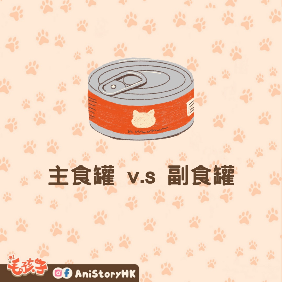 主副食罐頭的種類、 優缺點及迷思（01製圖）