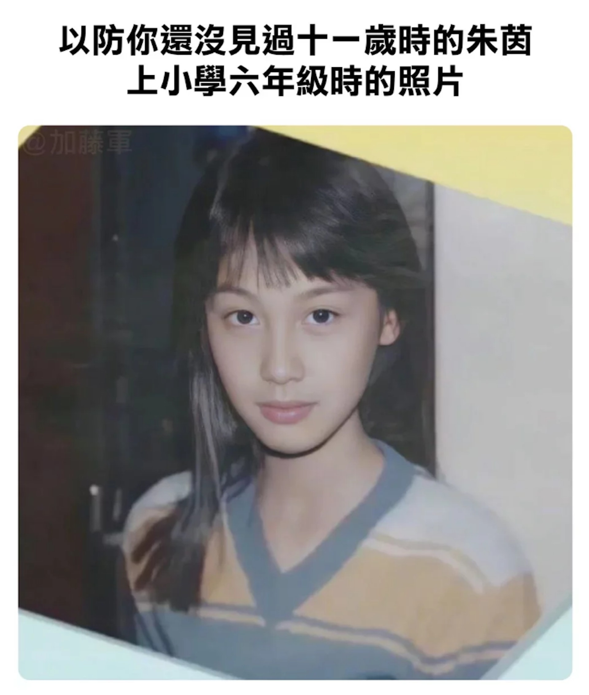 有網友貼出朱茵11歲青澀照。(FB@加藤軍台灣粉絲團 2.0) 有網友貼出朱茵11歲青澀照。(FB@加藤軍台灣粉絲團 2.0)