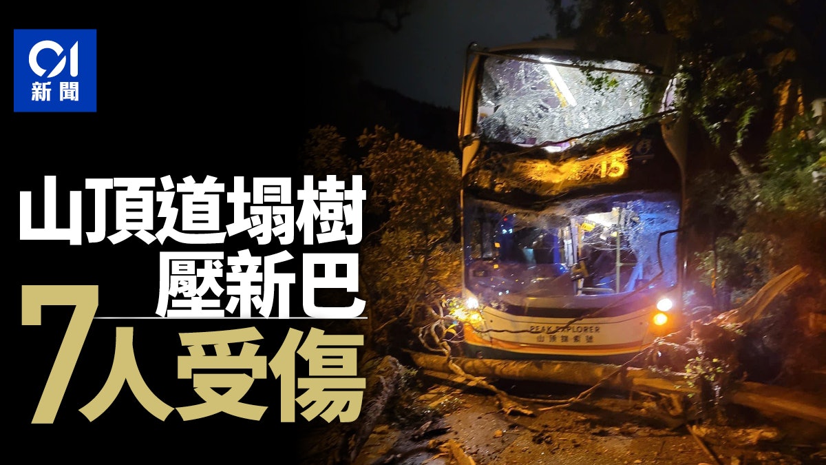 風球納沙|山頂道近山頂警署 大樹倒塌壓中巴士 7人受傷 風球納沙|山頂道近山頂警署 大樹倒塌壓中巴士 7人受傷