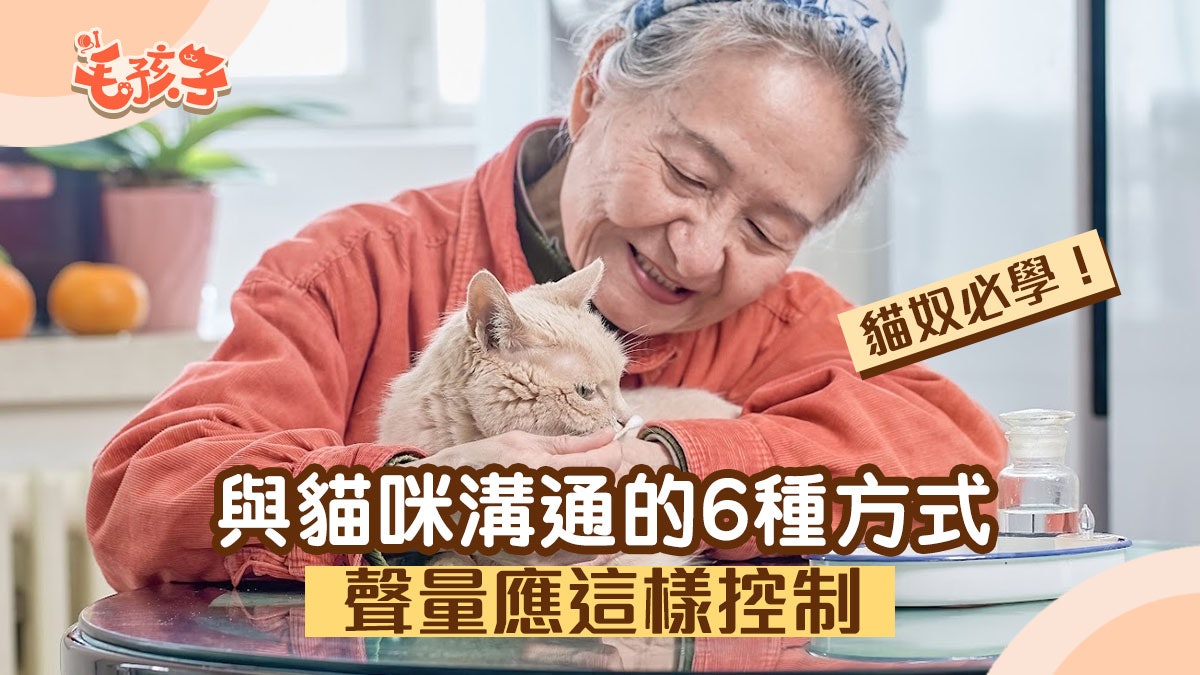 貓咪相處|動物專家教你與主子溝通的6種方式 聲量應這樣控制 貓咪相處|動物專家教你與主子溝通的6種方式 聲量應這樣控制