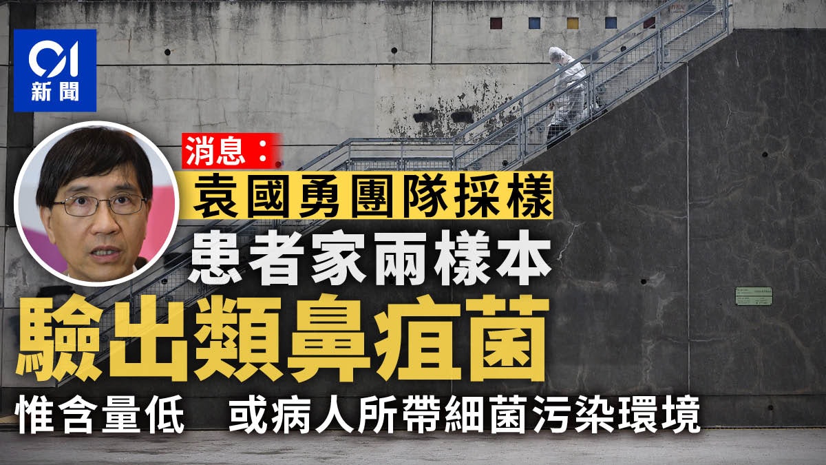 類鼻疽|消息:袁國勇團隊在患者家中兩個樣本驗出細菌 惟含量低 類鼻疽|消息:袁國勇團隊在患者家中兩個樣本驗出細菌 惟含量低