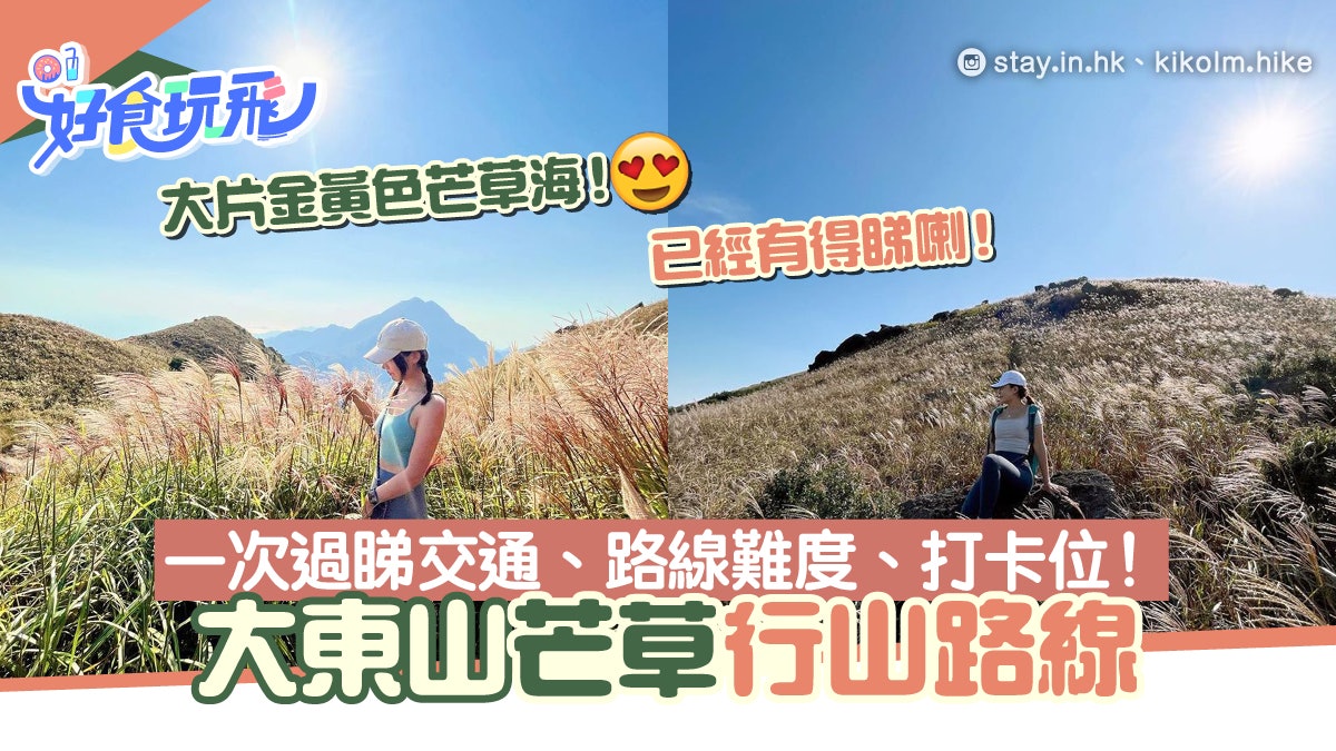 大東山芒草2025|行山路線+交通+注意事項!遍地金黃色芒草超壯觀 大東山芒草2025|行山路線+交通+注意事項!遍地金黃色芒草超壯觀