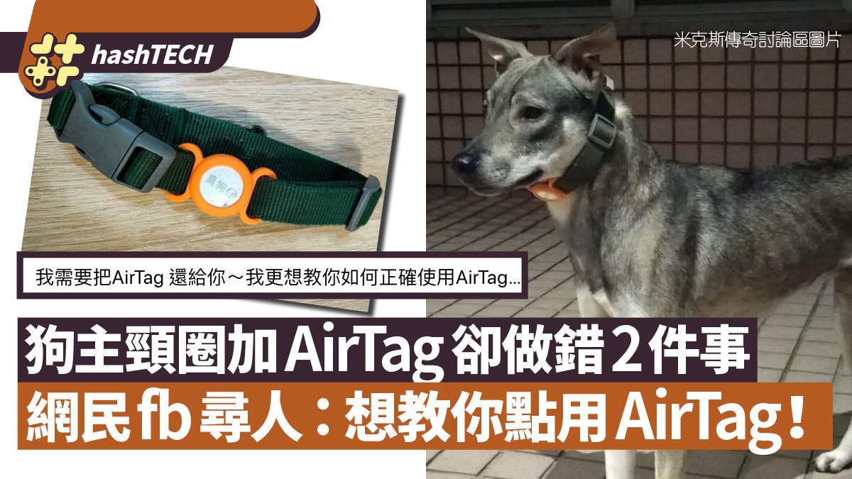 Airtag用法|綁頸圈做錯兩件事狗狗兩度走失|好心網民網上尋狗主 Airtag用法|綁頸圈做錯兩件事狗狗兩度走失|好心網民網上尋狗主