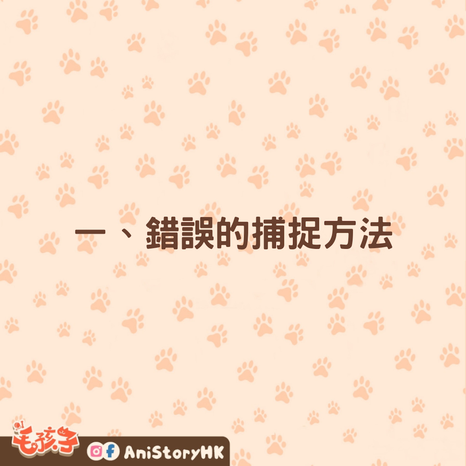 抱起兔子也有學問,想與兔兔親密互動原來要這樣。(01製圖) 抱起兔子也有學問,想與兔兔親密互動原來要這樣。(01製圖)