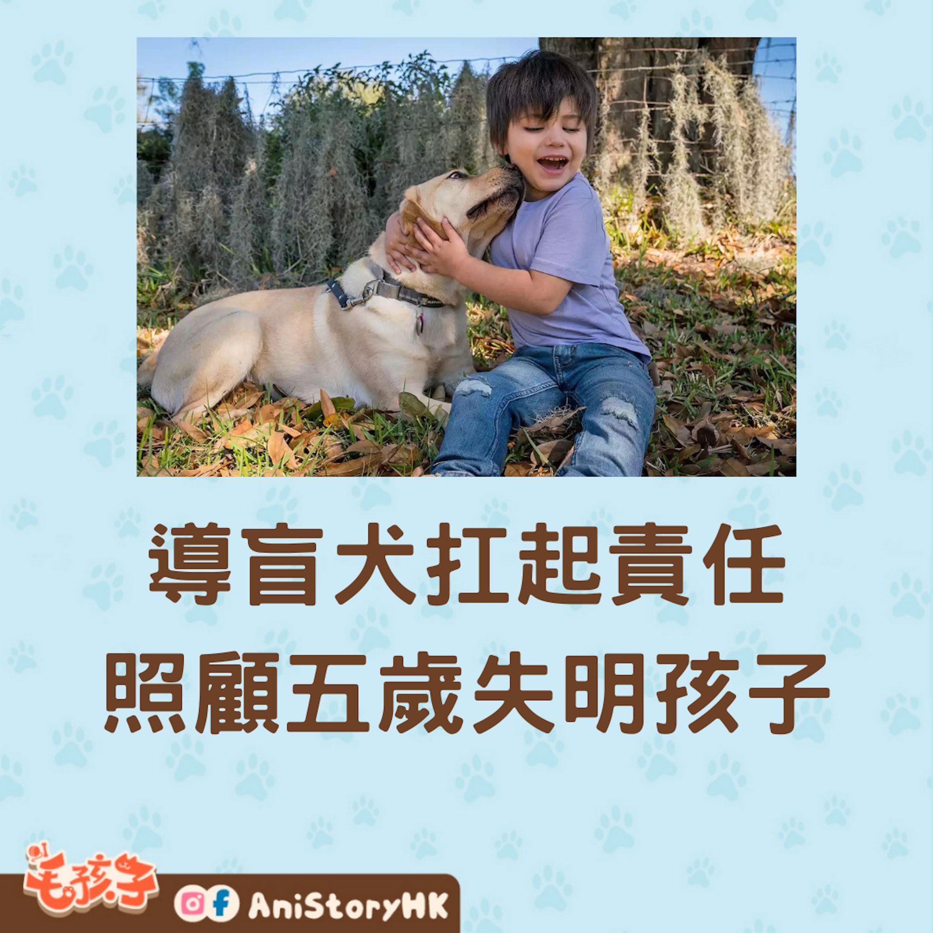 導盲犬扛起照顧五歲失明孩子的責任(01製圖) 導盲犬扛起照顧五歲失明孩子的責任(01製圖)