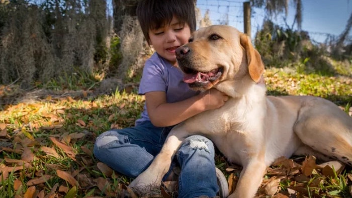 導盲犬扛起責任 照顧五歲失明自閉症男孩 愛與支持克服重重困難 導盲犬扛起責任 照顧五歲失明自閉症男孩 愛與支持克服重重困難