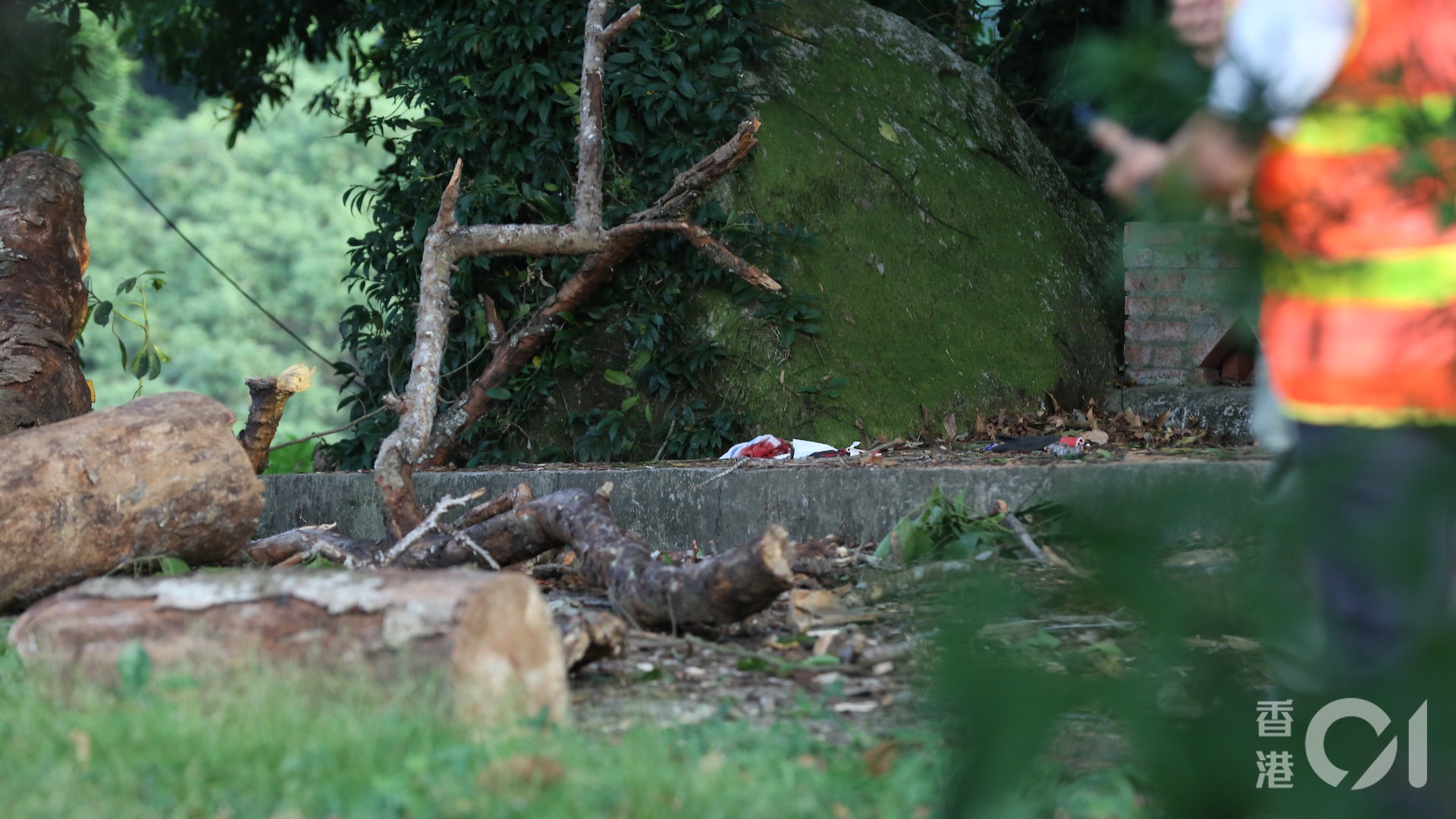 塌樹殺人|地政總署:承辦商8月視察枯樹 意外後方通報屬高風險 塌樹殺人|地政總署:承辦商8月視察枯樹 意外後方通報屬高風險