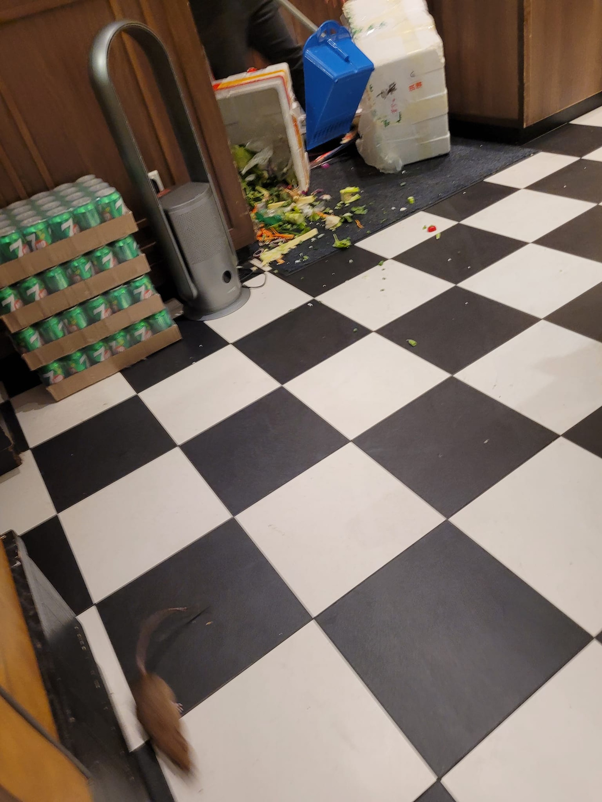 荃新天地1間連鎖港式茶餐廳出現鼠蹤。(fb群組「荃灣人」) 荃新天地1間連鎖港式茶餐廳出現鼠蹤。(fb群組「荃灣人」)