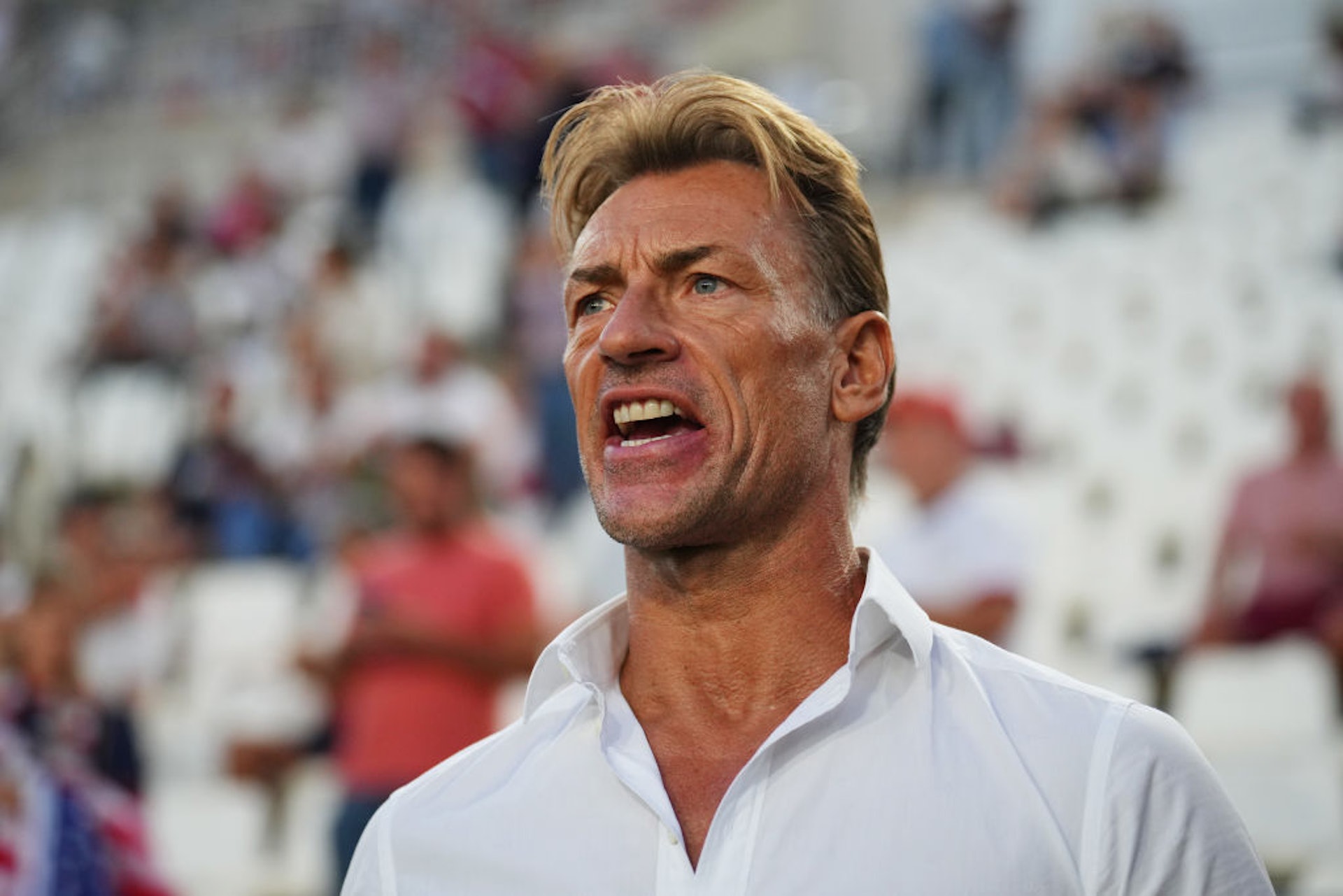 沙特阿拉伯教練蘭納（Hervé Renard）。（Getty Images）