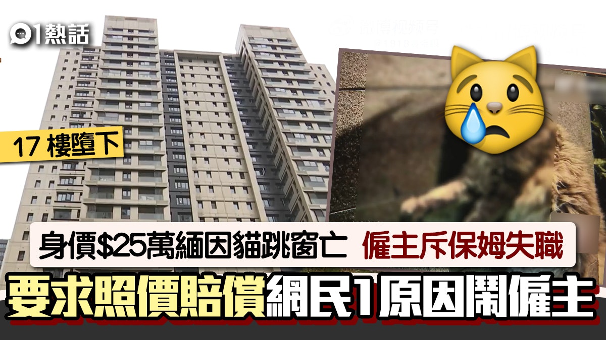 身價25萬緬因貓跳窗亡 保姆遭扣薪及買餸錢 網民1原因狂轟僱主 身價25萬緬因貓跳窗亡 保姆遭扣薪及買餸錢 網民1原因狂轟僱主
