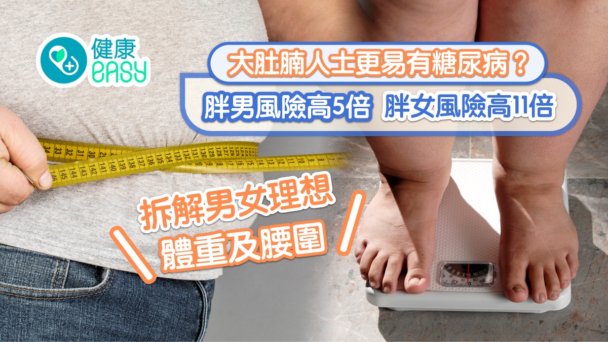 大肚腩人士更易有糖尿病？ 胖男風險高5倍 胖女風險高11倍