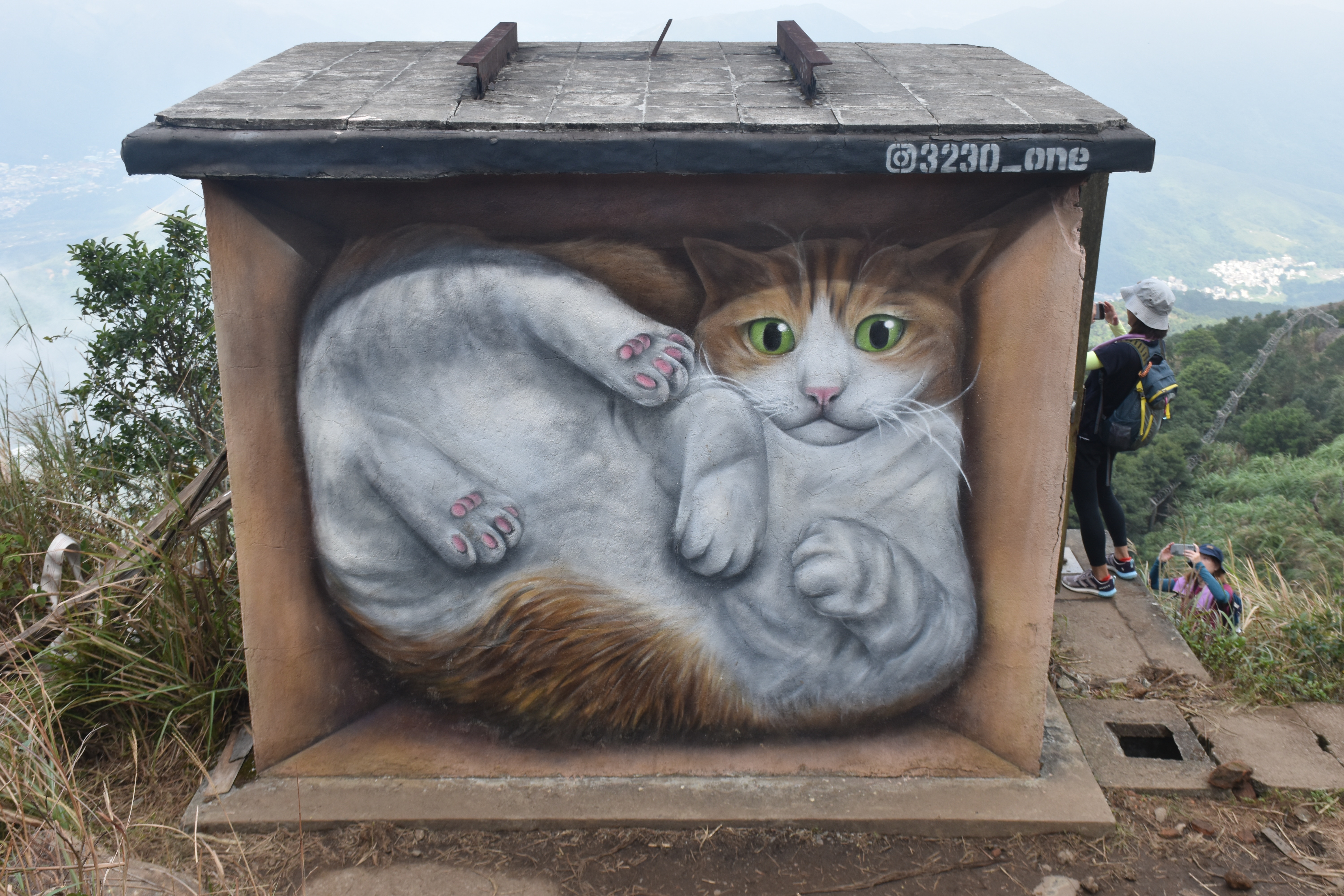 大帽山「貓屋」通道遭政府封閉熱爆行山景點來自俄國藝術家創作