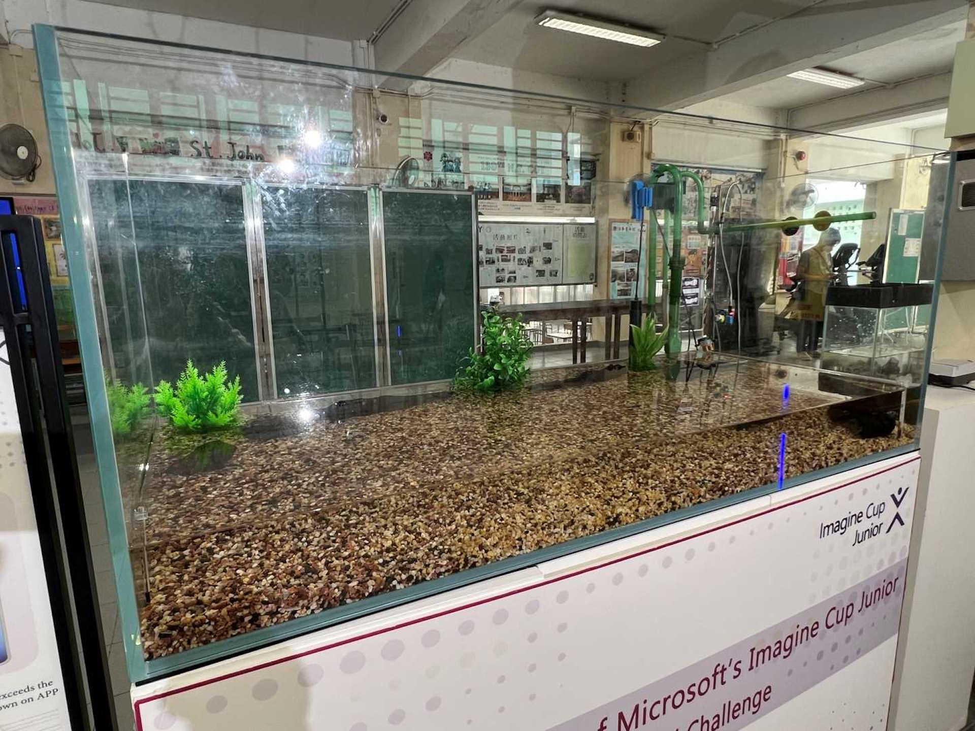 該校的魚缸模擬飼養大閘蟹的水產養殖場。(翁曼琛攝) 該校的魚缸模擬飼養大閘蟹的水產養殖場。(翁曼琛攝)