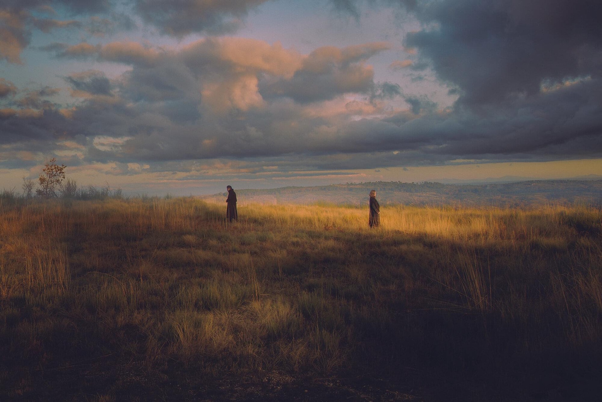 《We Were Born Before the Wind》(圖片來源:https://moom.cat/l/aTWw0r) 《We Were Born Before the Wind》(圖片來源:https://moom.cat/l/aTWw0r)