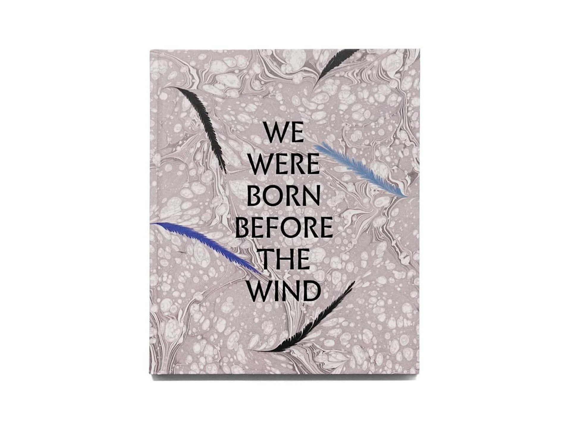 《We Were Born Before the Wind》(圖片來源:https://moom.cat/l/aTWw0r) 《We Were Born Before the Wind》(圖片來源:https://moom.cat/l/aTWw0r)