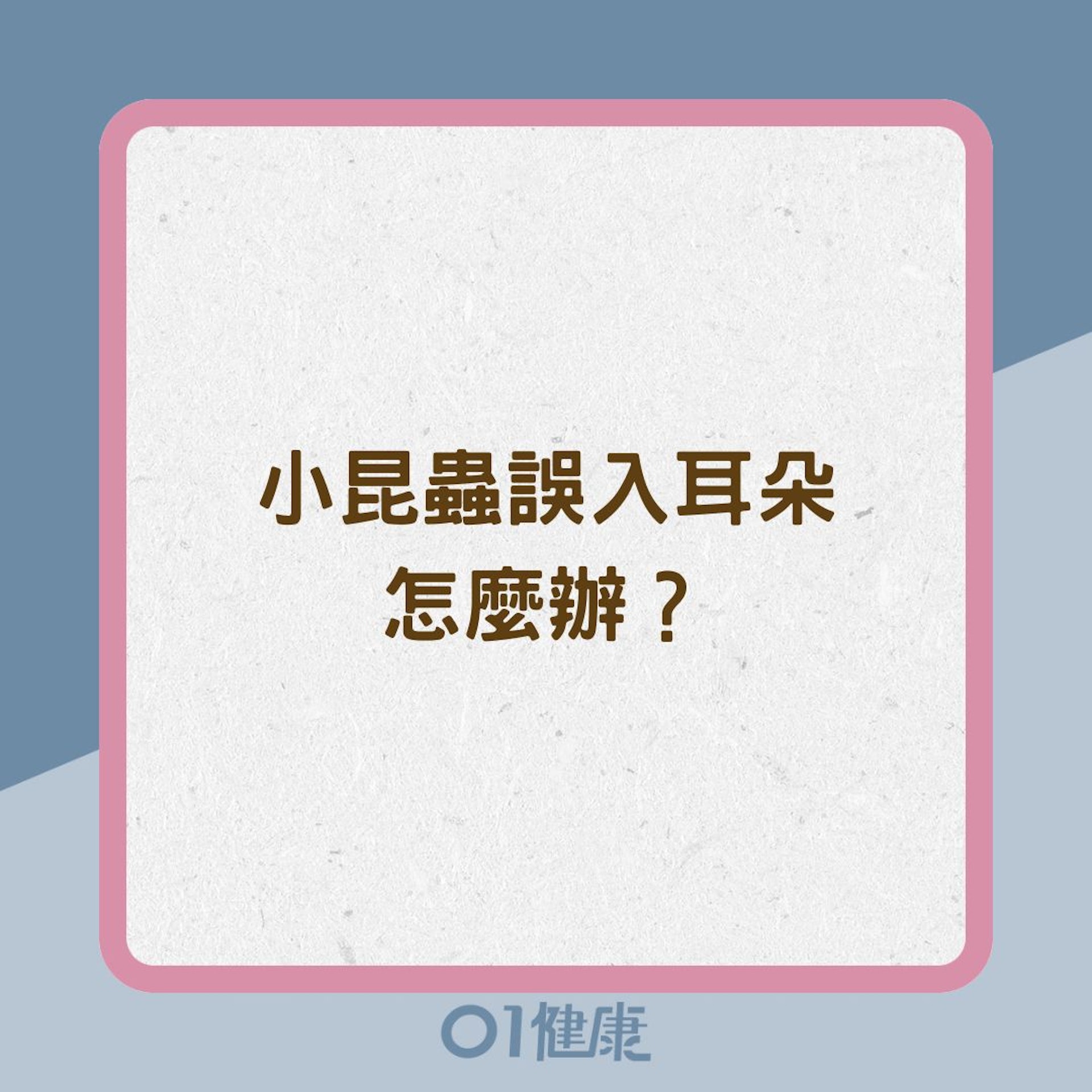 小昆蟲誤入耳朵怎麼辦?(01製圖) 小昆蟲誤入耳朵怎麼辦?(01製圖)