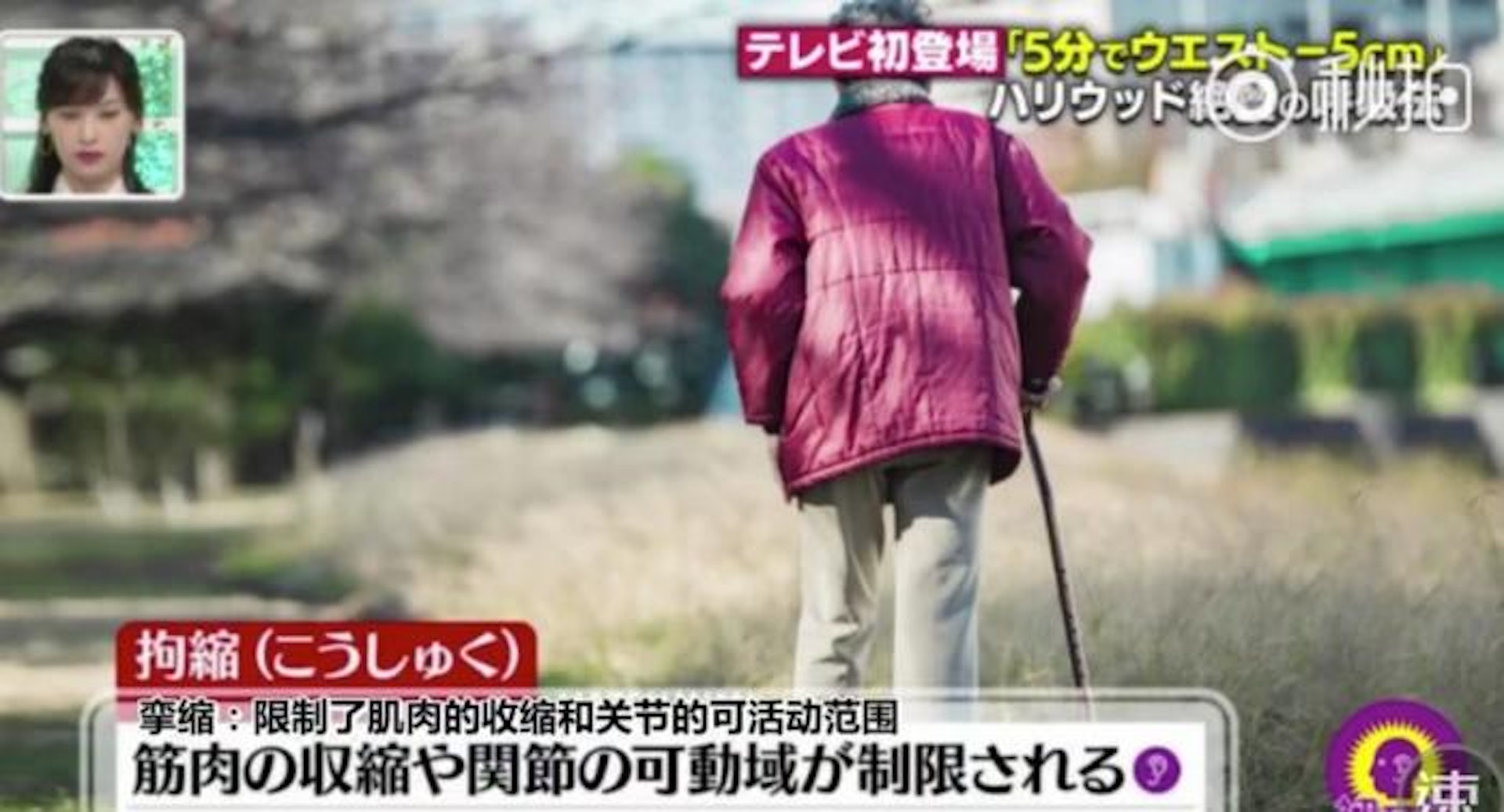 Zero Training 操作原理其實是因為人的身體隨著年紀增長而漸漸攣縮,這現象就是導致老人家會看起來比年輕時較矮的原因。因此Zero Training就是可以把這次收縮了的肌肉與關節重新展開,進而起到瘦身的效果!(《林先生が驚く初耳学》) Zero Training 操作原理其實是因為人的身體隨著年紀增長而漸漸攣縮,這現象就是導致老人家會看起來比年輕時較矮的原因。因此Zero Training就是可以把這次收縮了的肌肉與關節重新展開,進而起到瘦身的效果!(《林先生が驚く初耳学》)