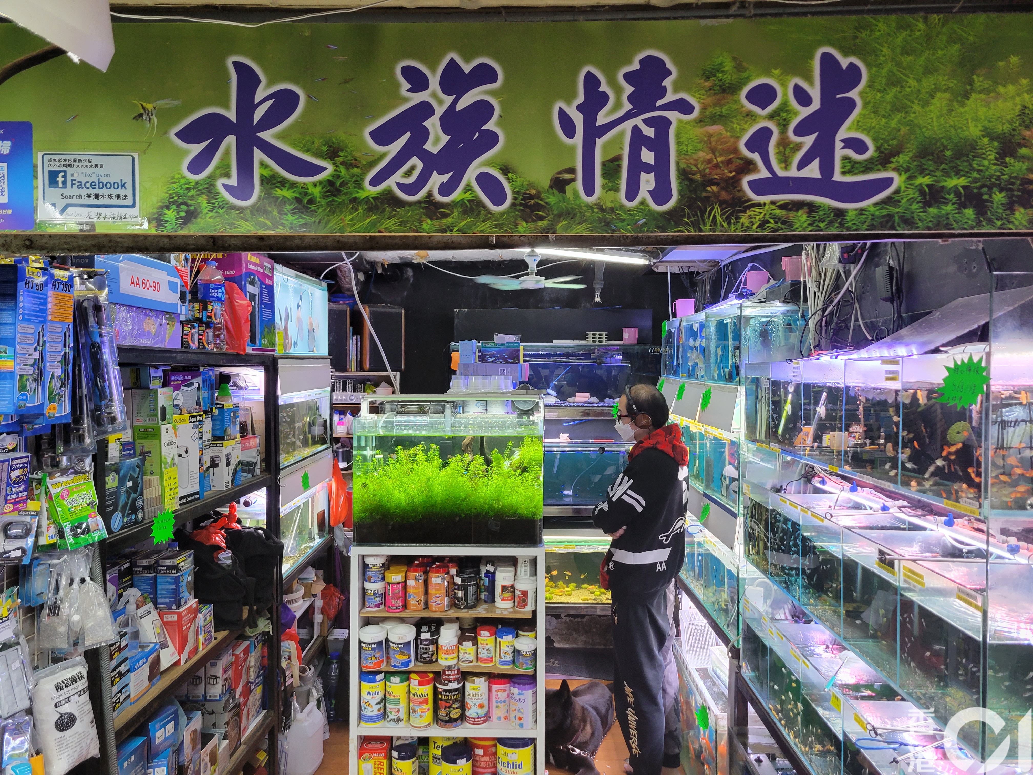 The Tsuen Wan aquarium store was doused with bleach and more than a