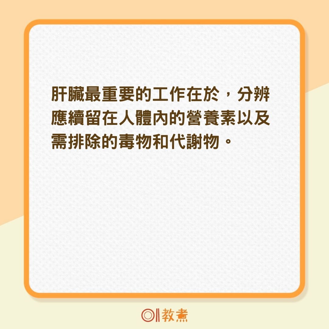 肝臟何時該進行排毒？（01製圖）