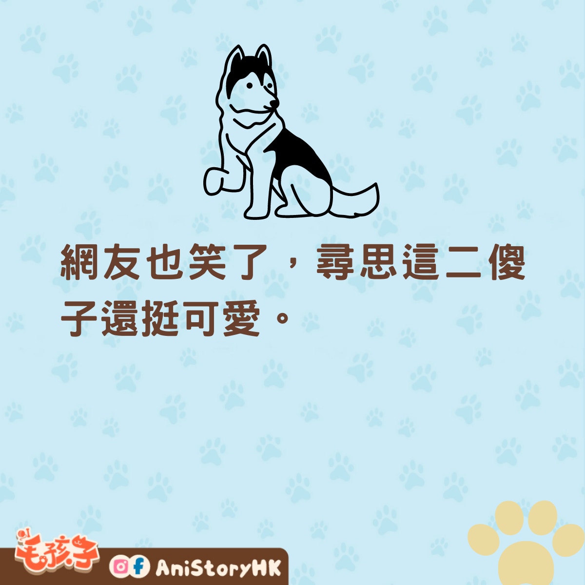 出門見鄰居的二哈對著我開心地笑，男子：這狗一定很喜歡我！（01製圖）