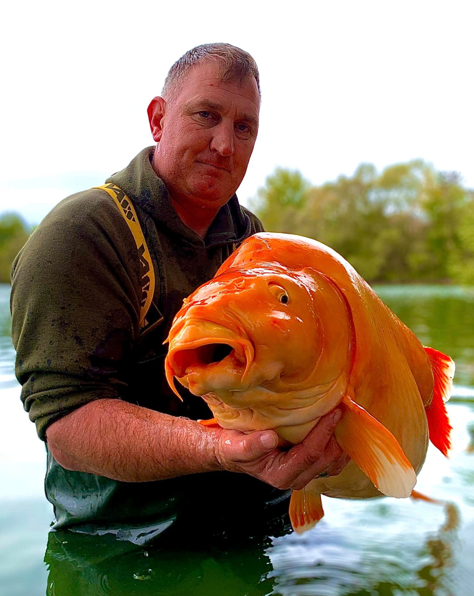 一名英國男子在法國藍水湖(Bluewater Lakes)釣魚,意外釣上一隻重達30公斤的「超巨大金魚」,打破世界紀錄。(Facebook@Bluewater Lakes) 一名英國男子在法國藍水湖(Bluewater Lakes)釣魚,意外釣上一隻重達30公斤的「超巨大金魚」,打破世界紀錄。(Facebook@Bluewater Lakes)