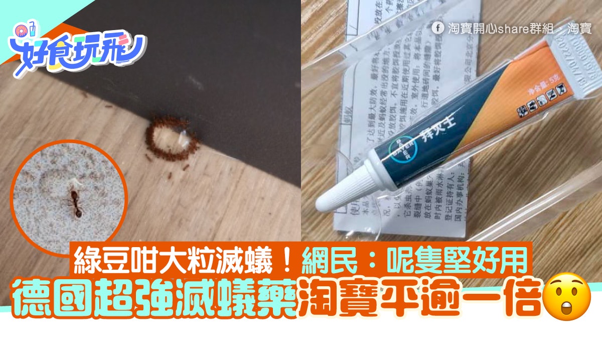 德國超強滅蟻藥淘寶價錢平逾一倍 網民勁讚有效:呢隻堅好用! 德國超強滅蟻藥淘寶價錢平逾一倍 網民勁讚有效:呢隻堅好用!